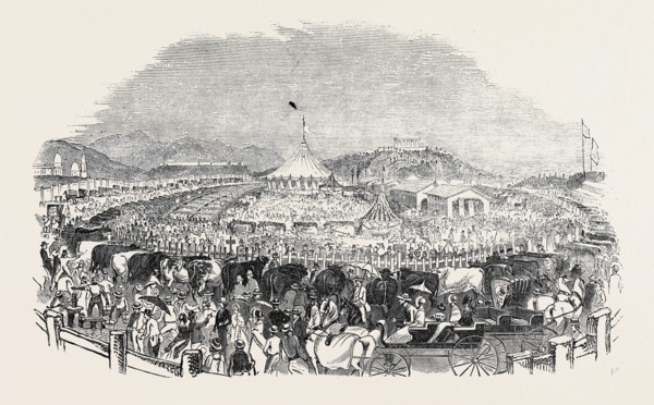 THE GREAT POUGHKEEPSIE CATTLE SHOW