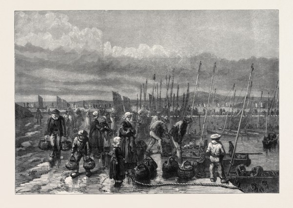SARDINE FISHERY ON THE COAST OF BRITTANY, FRANCE, 1871