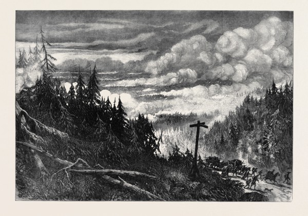THE GREAT FOREST FIRES IN AMERICA: VIEW NEAR FOX RIVER, 1871