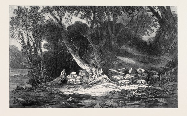 "THE WOODLAND GLADE," BY G. CHESTER, FROM THE ROYAL ACADEMY EXHIBITION