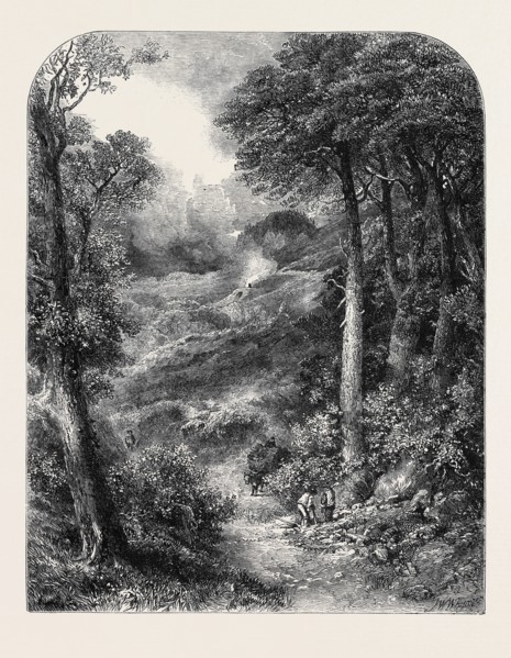 "THE PATH TO BLACKDOWN AND THE SURREY HIGHLANDS," BY J.W. WHYMPER, FROM THE EXHIBITION OF THE NEW