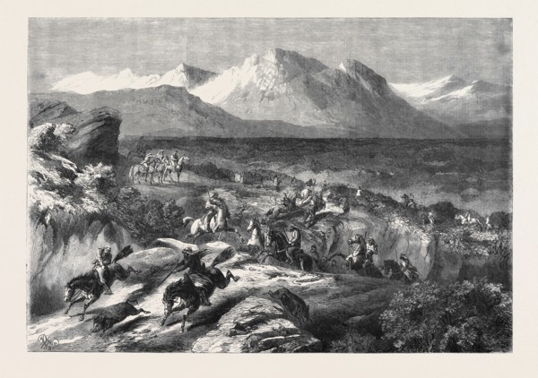 A RECENT WILD BOAR HUNT IN ALGERIA