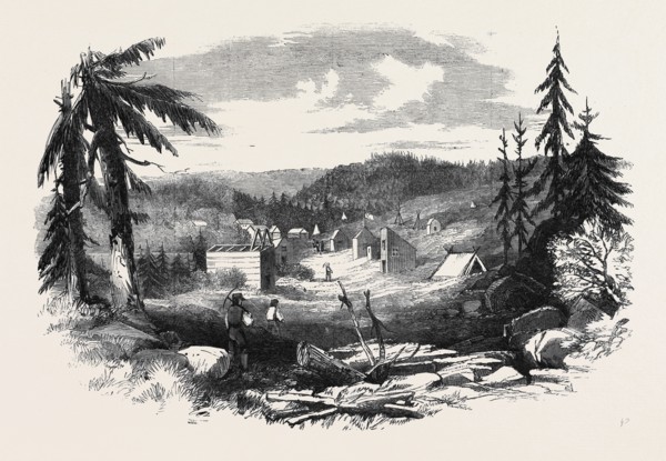 NEW GOLD DIGGINGS IN NOVA SCOTIA:  GOLD STREET, TANGIER
