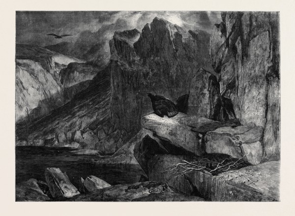 "THE EAGLE'S NEST," BY SIR E. LANDSEER IN THE SOUTH KENSINGTON MUSEUM