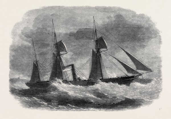 THE UNION STEAMSHIP COMPANY'S CAPE MAIL STEAMER BRITON