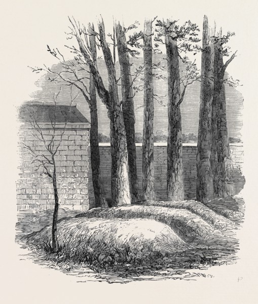 CLOSE OF THE WAR WITH CHINA: GRAVES OF LIEUT. ANDERSON, PRIVATE PHIPPS, AND MESSRS. DE NORMAN AND