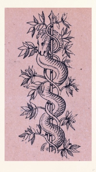 Italian ornament