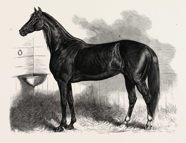 CONNECTICUT: ST. JULIEN, WHO BEAT HIS OWN AND THE BEST ONE-MILE RECORD, AT THE CHARTER OAK COURSE,