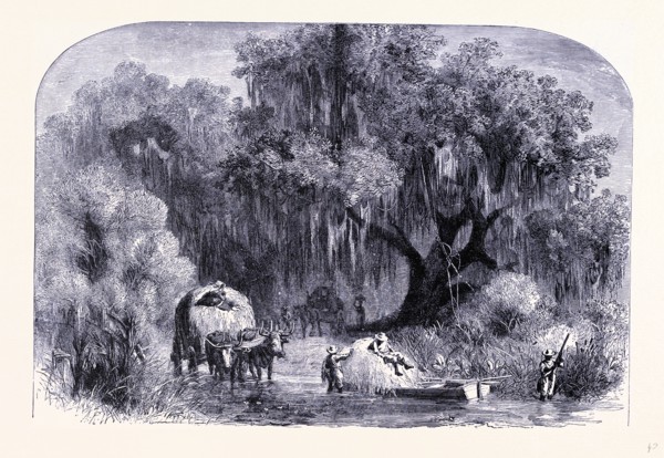 Rural life, United States of America