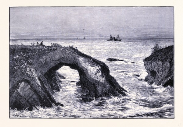 Coast of Mendocino, United States of America
