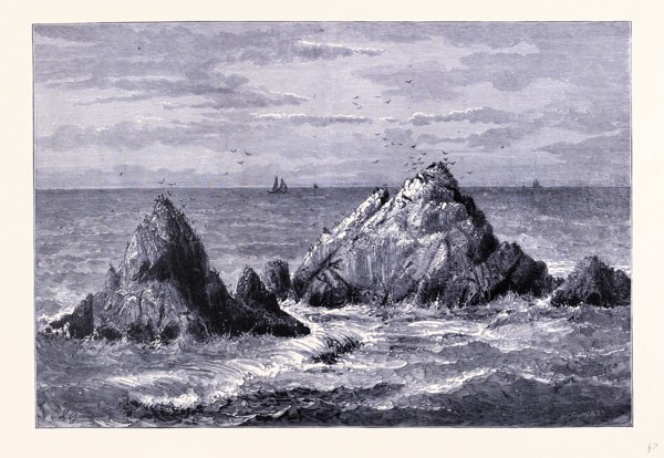 Seal Rocks, United States of America