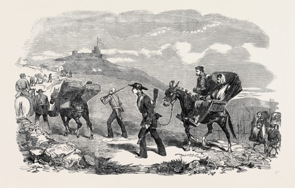 NEW AMBULANCE TRANSPORT SERVICE