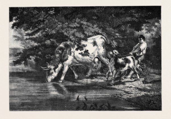 The Watering Place