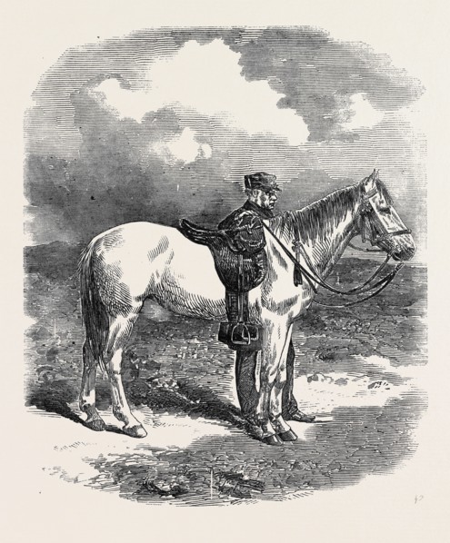 GENERAL SIR WILLIAM JOHN CODRINGTON, THE NEW COMMANDER-IN-CHIEF IN THE CRIMEA