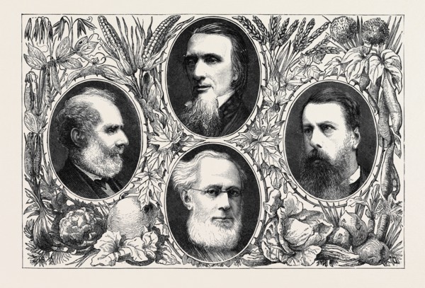 THE VEGETARIAN SYSTEM, SOME LEADING MEMBERS OF THE VEGETARIAN SOCIETY, JOHN DAVIE, ESQ., PROF. F.W.
