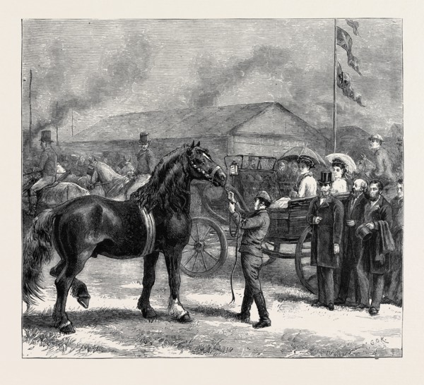 THE ROYAL AGRICULTURAL SOCIETY'S SHOW AT BEDFORD, HORSE PARADE BEFORE THE CROWN PRINCE AND PRINCESS
