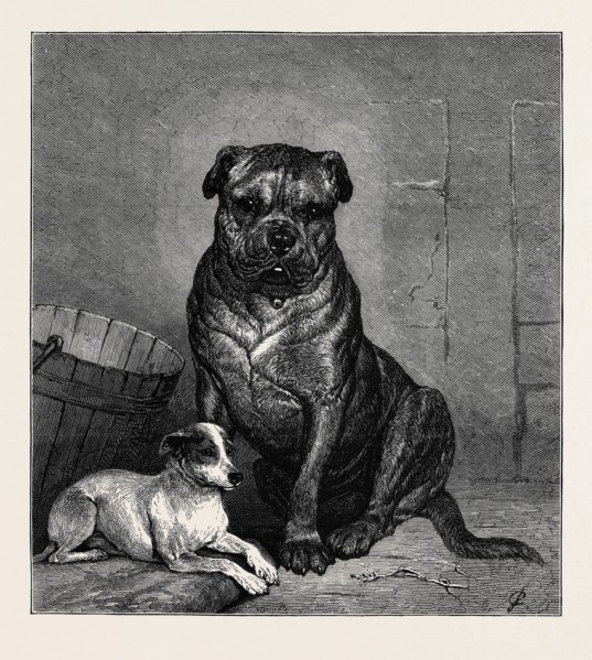 BEAUTY AND THE BEAST, FROM THE DRAWING BY JOHN CHARLTON IN THE BLACK AND WHITE EXHIBITION