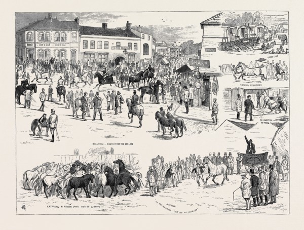 JOTTINGS AT THE HORNCASTLE HORSE FAIR, AUGUST 22, 1874