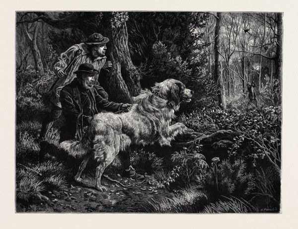 CATCHING A POACHER