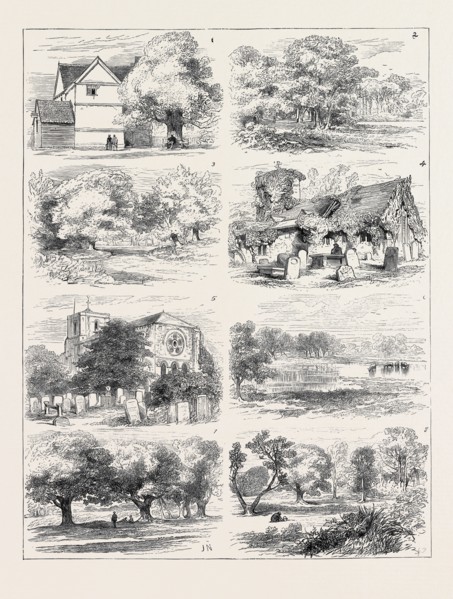 THE PRESERVATION OF EPPING FOREST 1. Queen Elizabeth's Lodge, Epping Forest. 2. Whipp's Cross. 3.