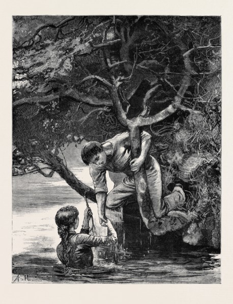 KIT, A MEMORY; BY JAMES PAYN: The long looked-for branch.