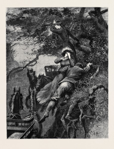 KIT, A MEMORY; BY JAMES PAYN: Hugging her to his breast, he leapt not at the branch, but at the