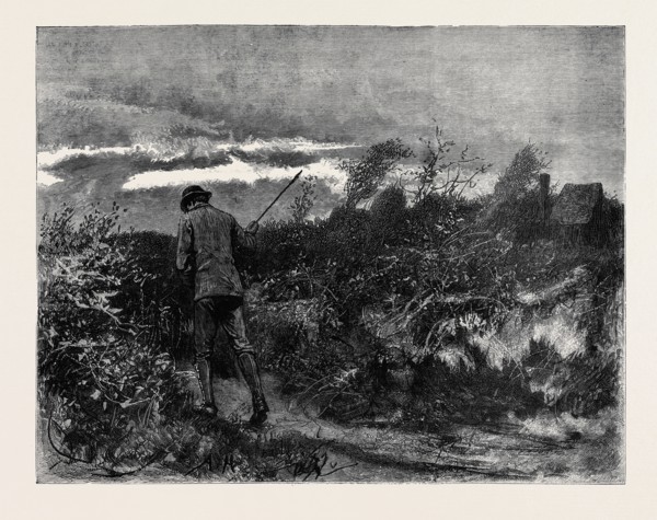 KIT, A MEMORY; BY JAMES PAYN: He waved his stick and increased his pace.