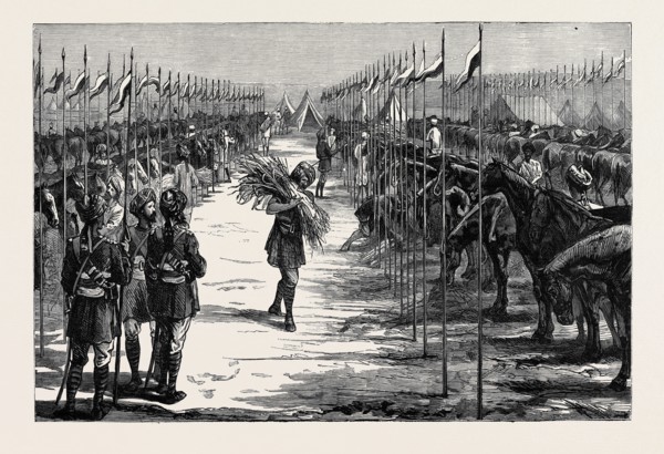 WITH THE INDIAN CONTINGENT IN EGYPT: A CAMP OF THE THIRTEENTH BENGAL LANCERS