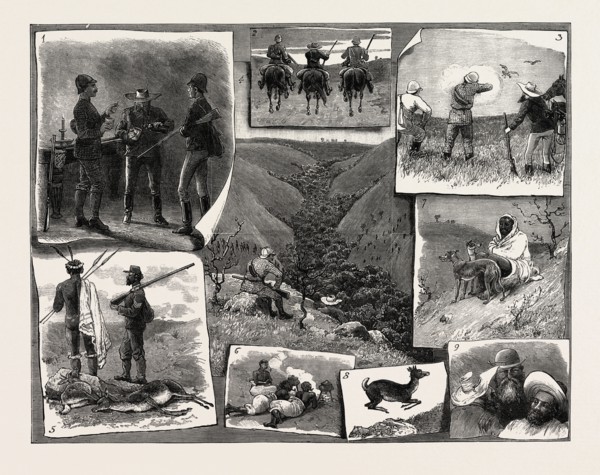 BUCK HUNTING AT THE CAPE: 1. An Early Refresher. 2. The Start. 3. A Partridge by the Way. 4.
