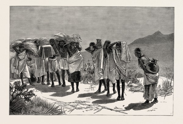 WITH ADMIRAL SIR W. HEWETT'S EMBASSY TO KING JOHN OF ABYSSINIA: ABYSSINIAN HOSPITALITY-SUPPLIES