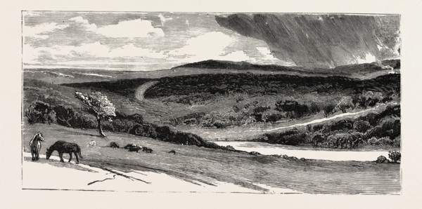 EPPING FOREST, VIEW FROM HIGH BEECH, UK