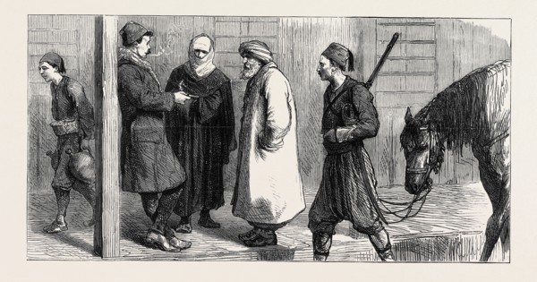 THE EASTERN QUESTION: TARTAR BASARDJICK, AN OFFICER JUST RETURNED FROM ALEXINATZ: "DID YOU SEE