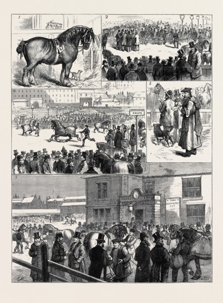 THE ANNUAL STALLION SHOW OF THE GLASGOW AGRICULTURAL SOCIETY: 1. Darnley (1st Prize); 2. The Judges
