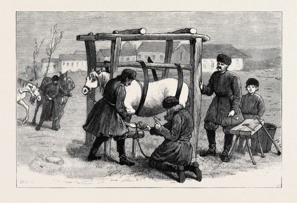 THE EASTERN QUESTION, RUSSIA: SHOEING HORSES IN THE CAMP AT KISCHINEFF