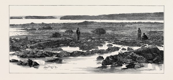 THE IMPENDING WAR, THE "IRON GATE" ON THE DANUBE