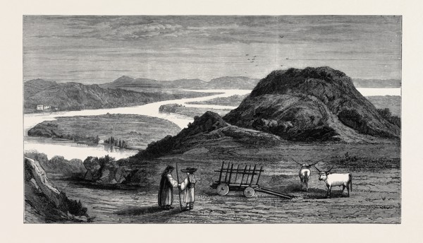 THE RUSSO-TURKISH WAR: CAPUT BOVIS AND THE JUNCTION OF THE SERETH WITH THE DANUBE