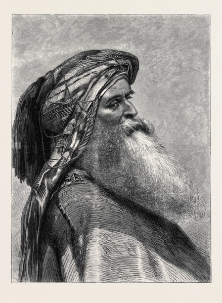 THE SHEIKH