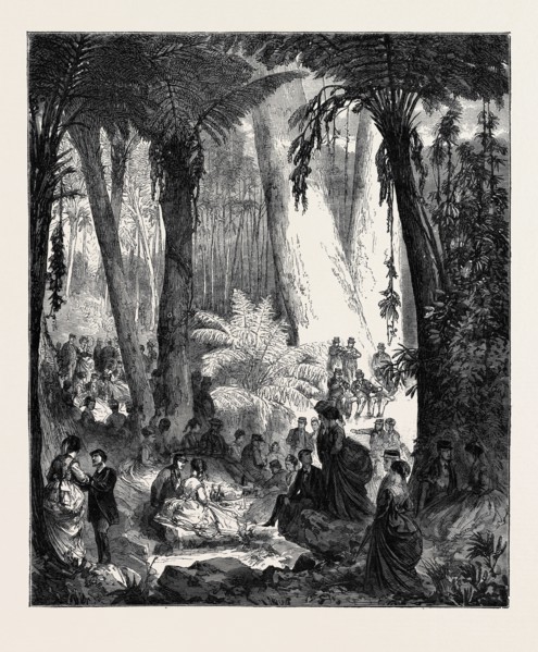 PICNIC IN AUSTRALIA TO THE OFFICERS OF THE FLYING SQUADRON, 1870