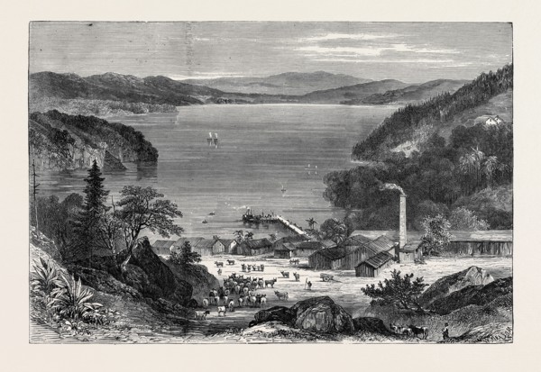 AUSTRALIAN MEAT CURING ESTABLISHMENT, LAKE BROADWATER, 1870