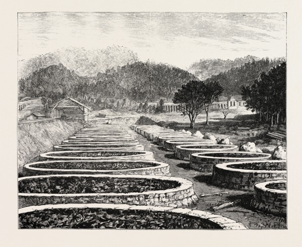 MIDDLESBOROUGH, KENTUCKY: CHARCOAL FURNACE, USA
