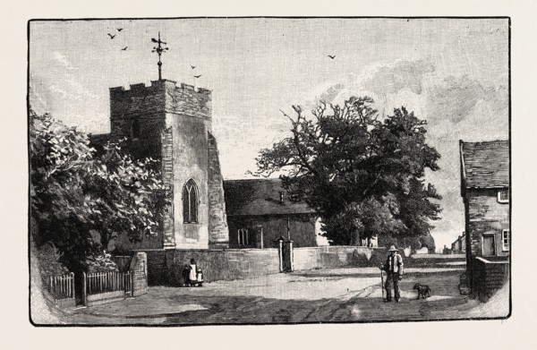 ST. MARY'S AND ST. MARTIN'S, TRIMLEY, LOOKING SOUTH