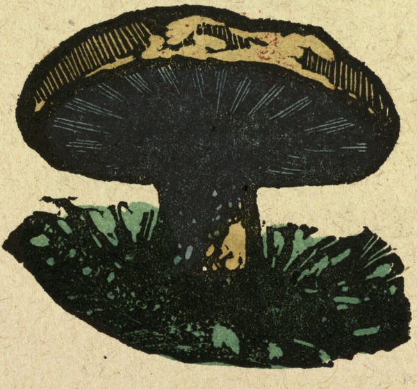 illustration of English tales, folk tales, and ballads. A mushroom
