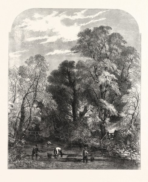 WATERCRESS-GATHERING, DRAWN BY S. READ