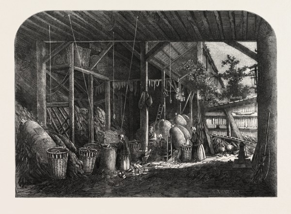 THE TREATY WITH FRANCE, FRENCH RAGS AND FRENCH PAPER: A RAG-WAREHOUSE IN THE QUARTIER MOUFFETARD,