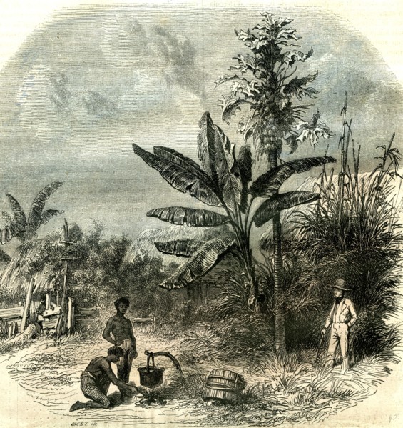 Guadeloupe, France, 1851