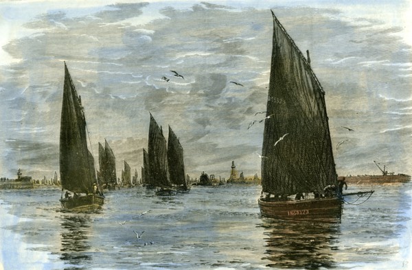 Aberdeen, The Herring Fleet, 1885, UK