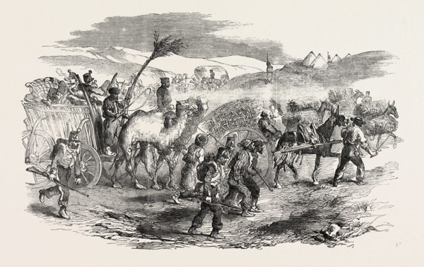 THE CRIMEAN WAR: THE ROAD TO SEBASTOPOL: COMMISSARIAT WAGGONS, CONVEYANCE OF FASCINES, 1854