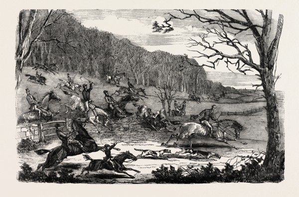 FOX-HUNTING