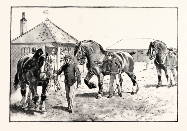 A PARADE IN FRONT OF THE PAVILION IN MR. GILBEY'S PADDOCKS AT ELSENHAM