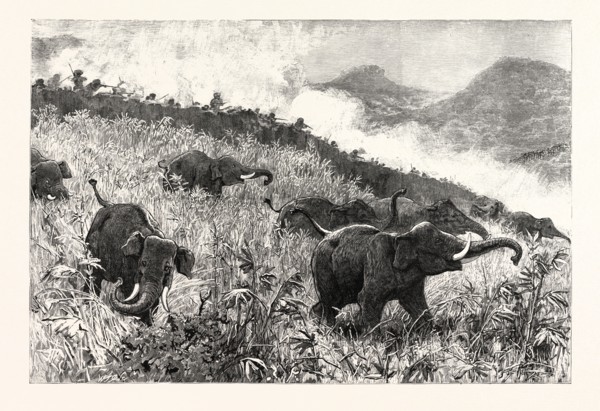 AN ELEPHANT KRAAL ARRANGED FOR THE CZAREVITCH, NEAR COLOMBO, CEYLON (SRI LANKA): BEATERS KEEPING